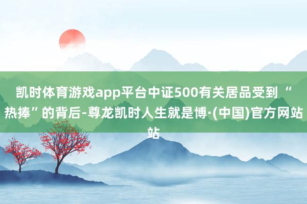 凯时体育游戏app平台中证500有关居品受到 “热捧”的背后-尊龙凯时人生就是博·(中国)官方网站