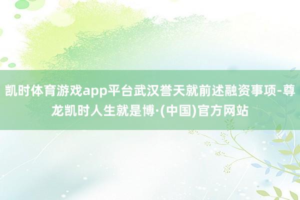 凯时体育游戏app平台武汉誉天就前述融资事项-尊龙凯时人生就是博·(中国)官方网站