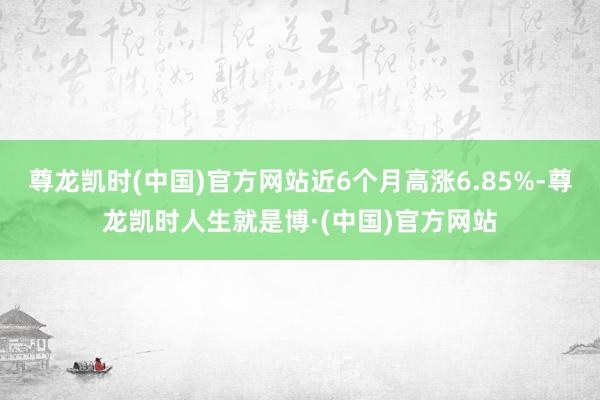 尊龙凯时(中国)官方网站近6个月高涨6.85%-尊龙凯时人生就是博·(中国)官方网站