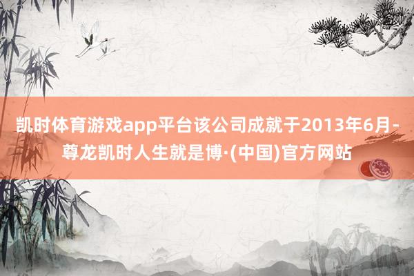 凯时体育游戏app平台该公司成就于2013年6月-尊龙凯时人生就是博·(中国)官方网站