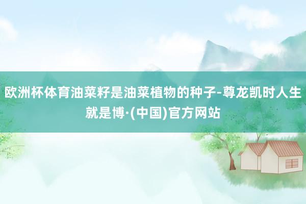 欧洲杯体育油菜籽是油菜植物的种子-尊龙凯时人生就是博·(中国)官方网站