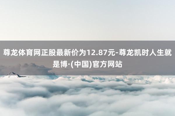 尊龙体育网正股最新价为12.87元-尊龙凯时人生就是博·(中国)官方网站