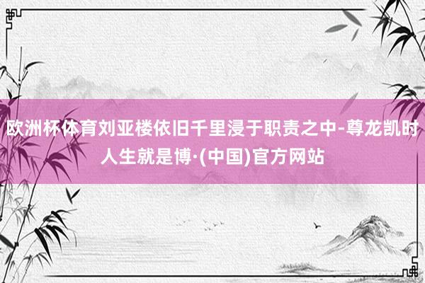 欧洲杯体育刘亚楼依旧千里浸于职责之中-尊龙凯时人生就是博·(中国)官方网站