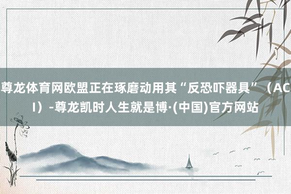 尊龙体育网欧盟正在琢磨动用其“反恐吓器具”（ACI）-尊龙凯时人生就是博·(中国)官方网站