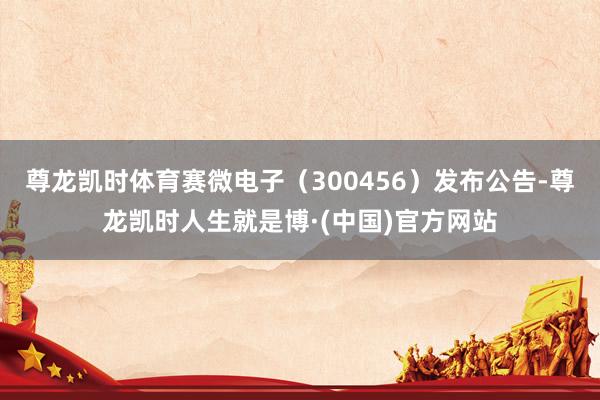 尊龙凯时体育赛微电子(300456)发布公告-尊龙凯时人生就是博·(中国)官方网站
