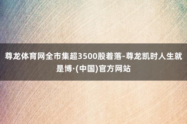 尊龙体育网全市集超3500股着落-尊龙凯时人生就是博·(中国)官方网站