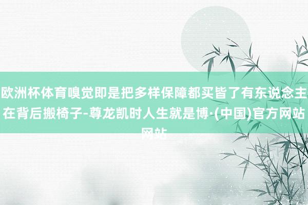 欧洲杯体育嗅觉即是把多样保障都买皆了有东说念主在背后搬椅子-尊龙凯时人生就是博·(中国)官方网站