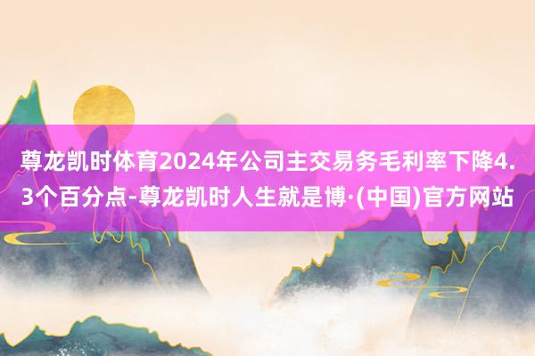 尊龙凯时体育2024年公司主交易务毛利率下降4.3个百分点-尊龙凯时人生就是博·(中国)官方网站
