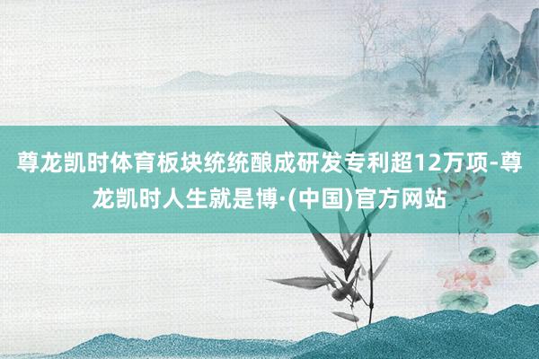 尊龙凯时体育板块统统酿成研发专利超12万项-尊龙凯时人生就是博·(中国)官方网站