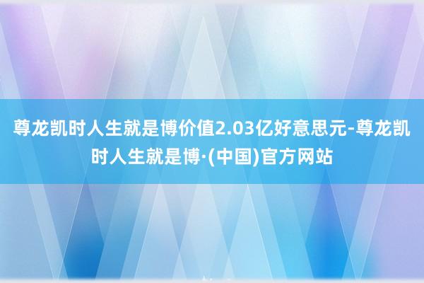 尊龙凯时人生就是博价值2.03亿好意思元-尊龙凯时人生就是博·(中国)官方网站