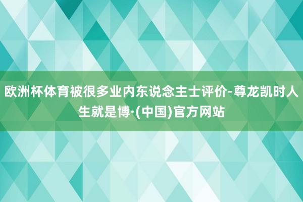 欧洲杯体育被很多业内东说念主士评价-尊龙凯时人生就是博·(中国)官方网站