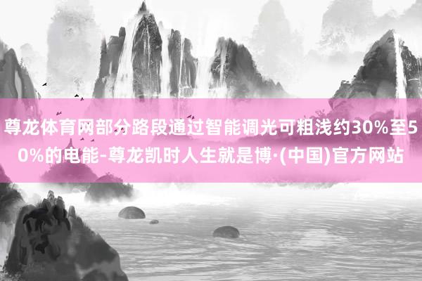 尊龙体育网部分路段通过智能调光可粗浅约30%至50%的电能-尊龙凯时人生就是博·(中国)官方网站